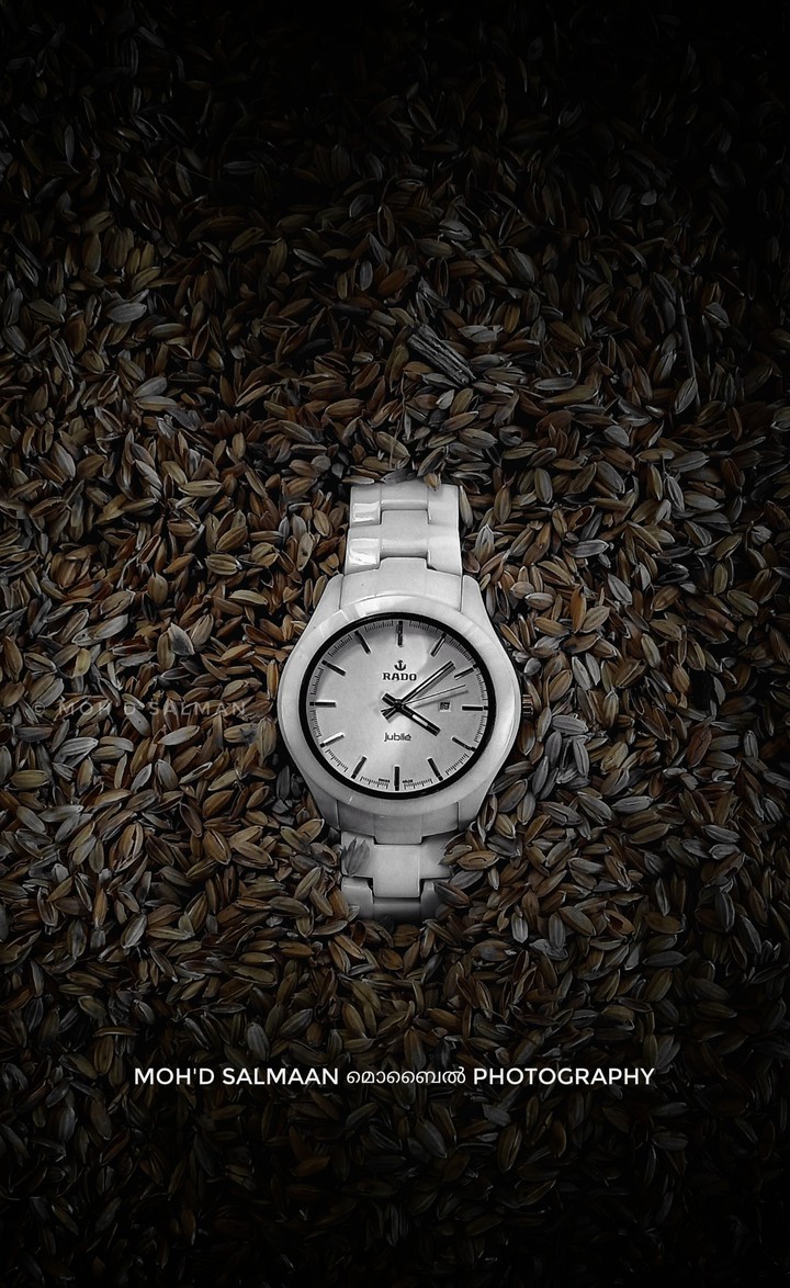 Rado Watch