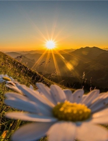 sun shining