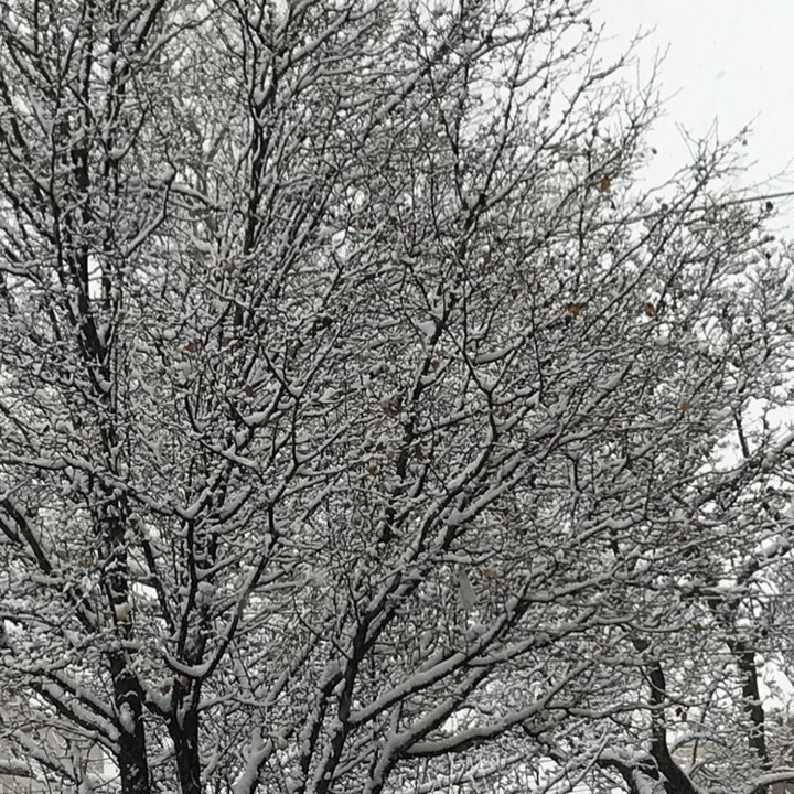 Snow