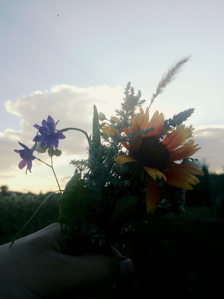 Flowers