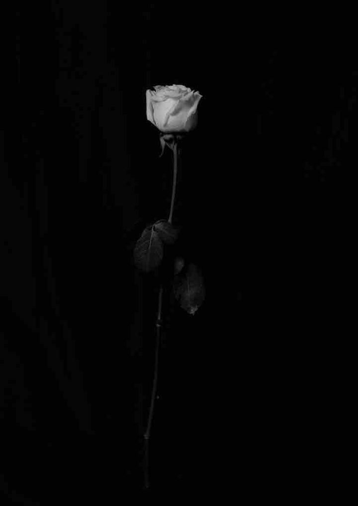 black backgrounds
