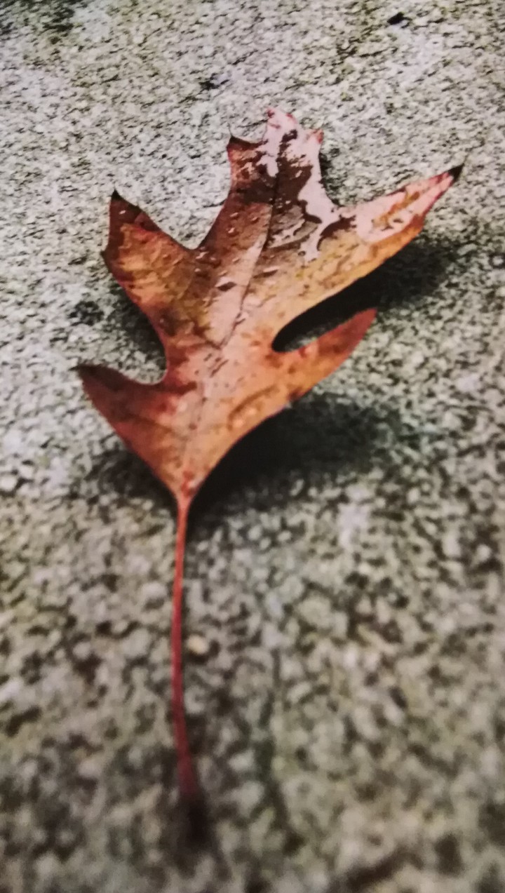 be happy
