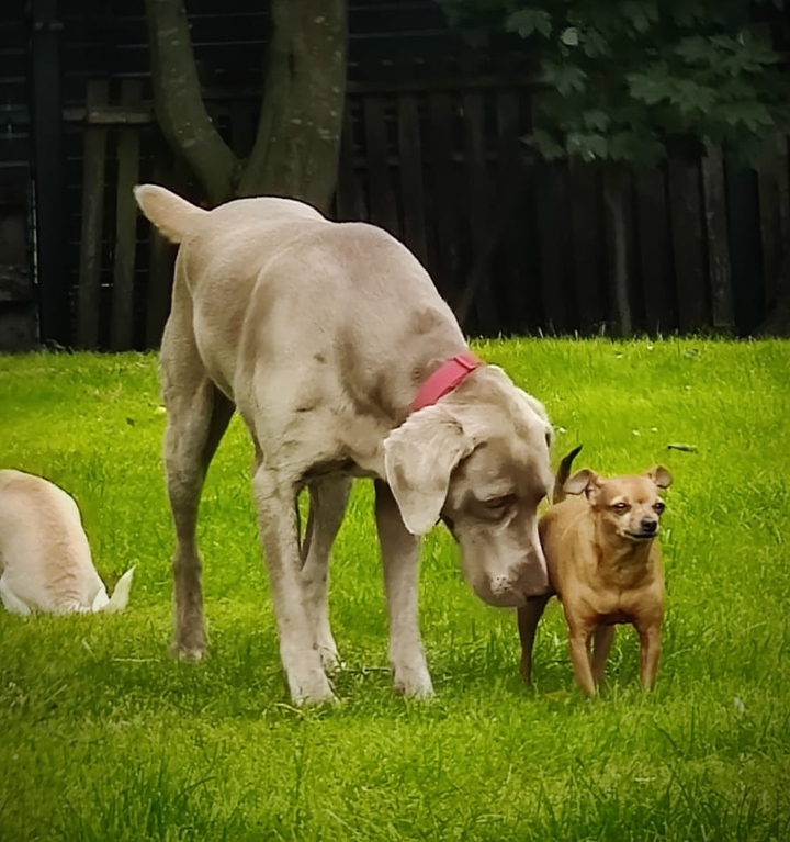 Gaia und Timmy