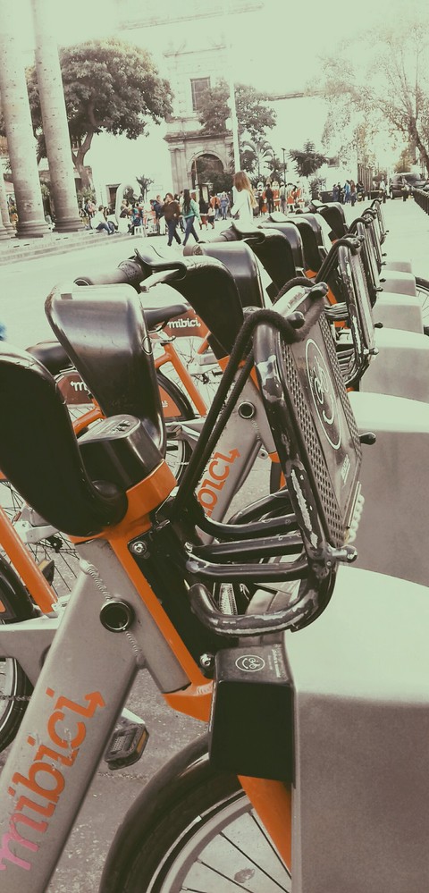 bikes