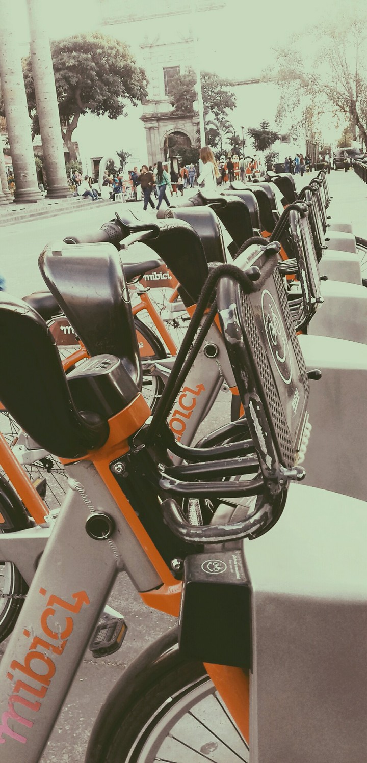 bikes