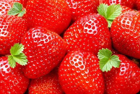 Scarlet Strawberries