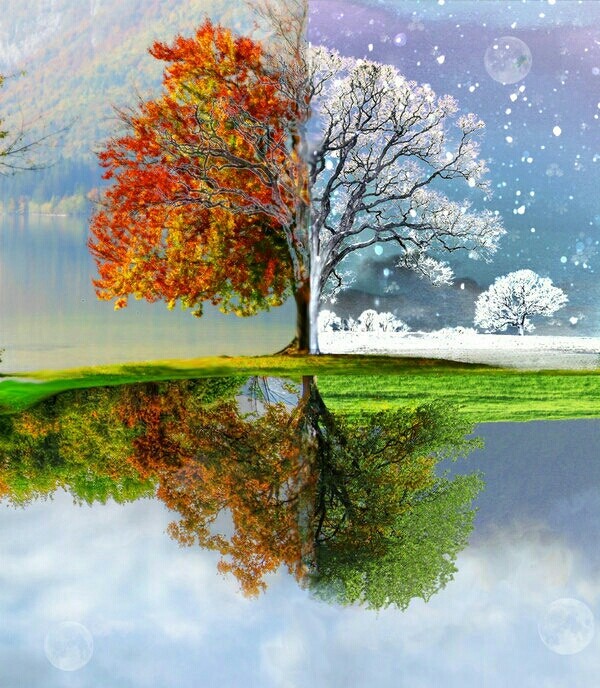 Seasonal Changes :):)