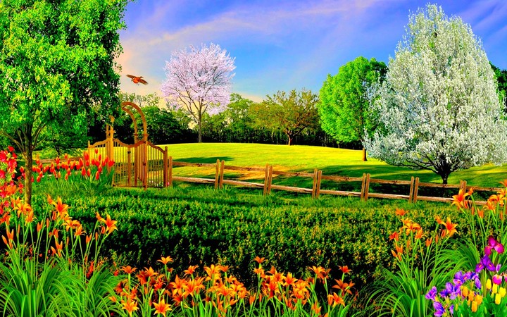 beautiful pic