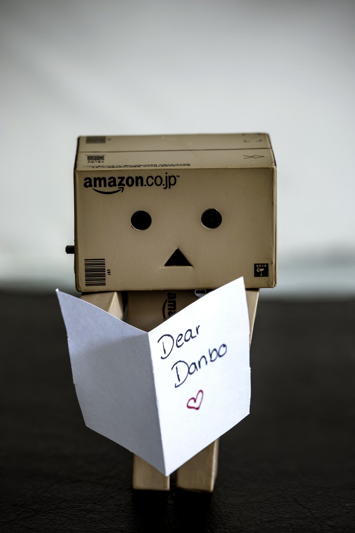 Dear Danbo...