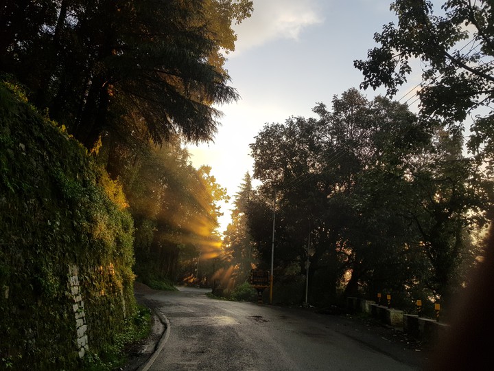 dalhousi