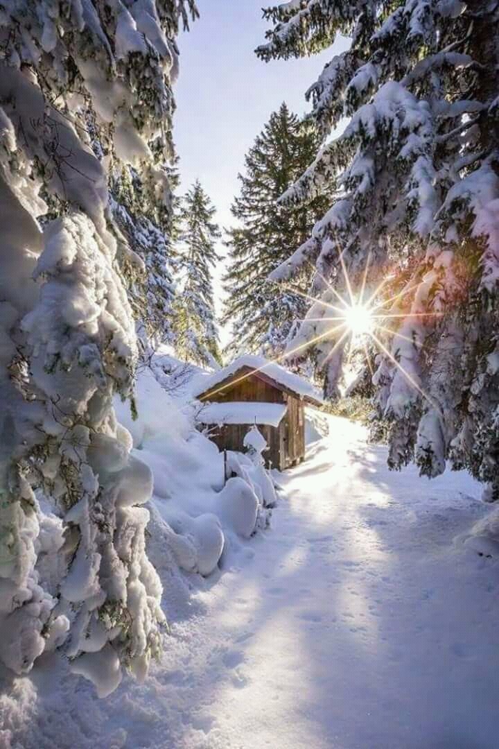 winter