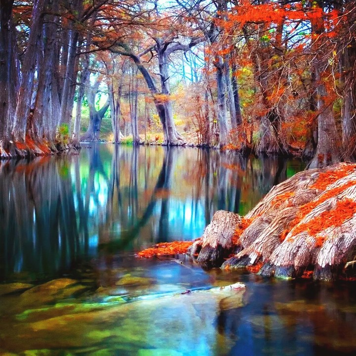 Nature