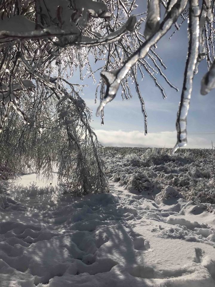 ice