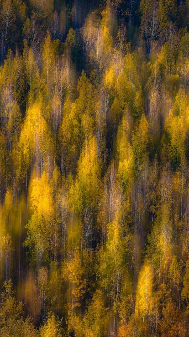 осень осень