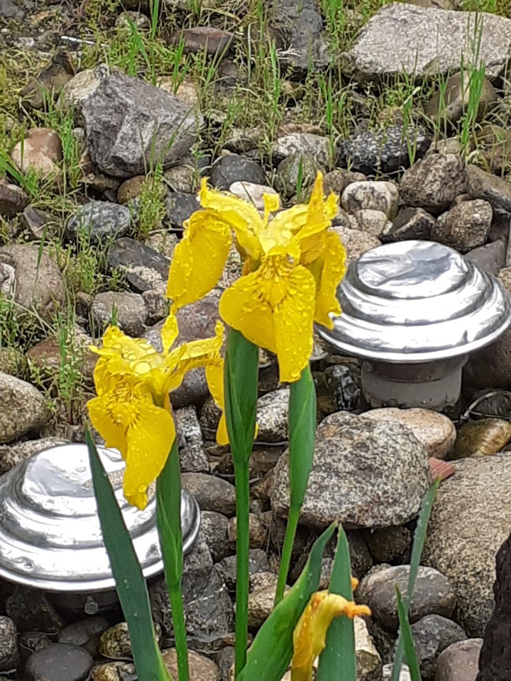 안녕하세요