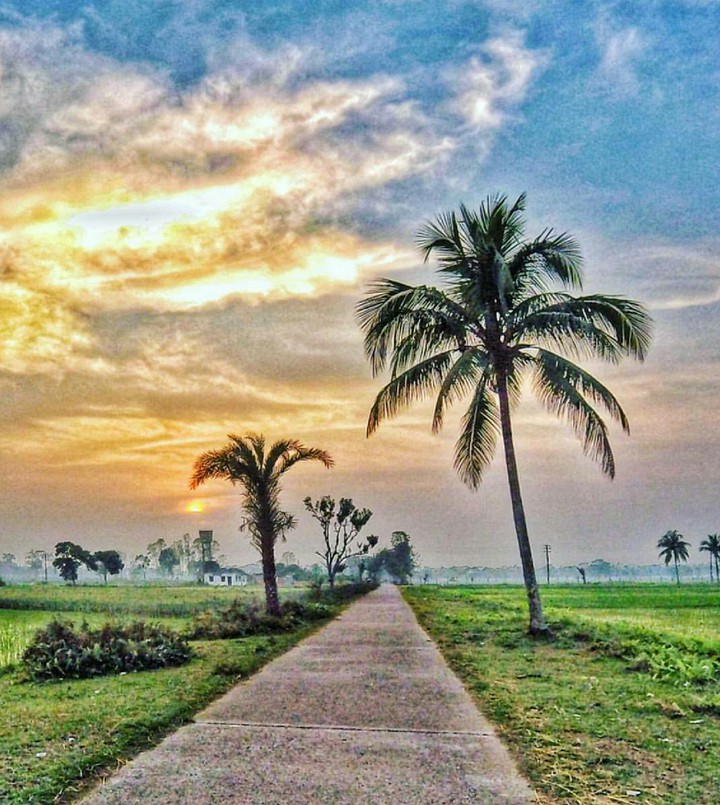 Natural Photo Presenting Sun