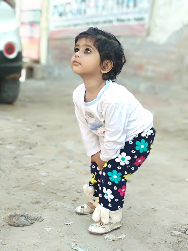 cuteness overloaded