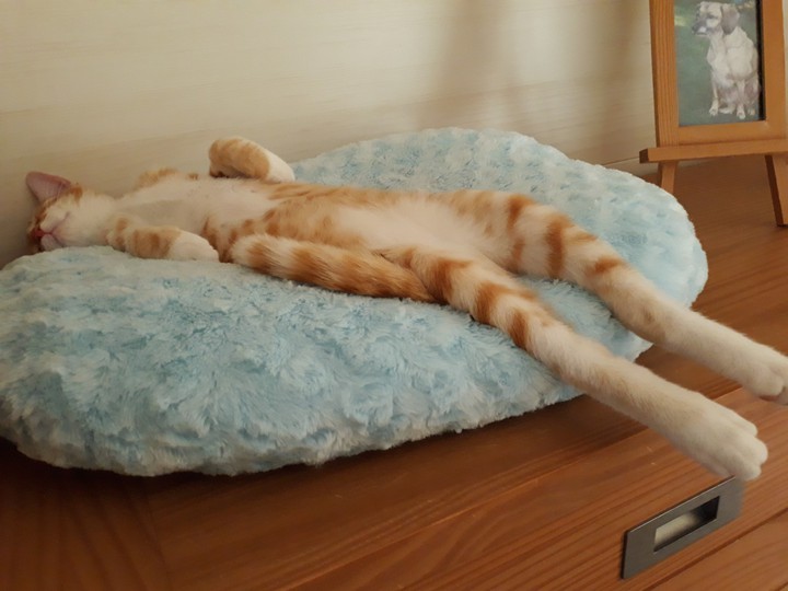 Eliott fait sa sieste.