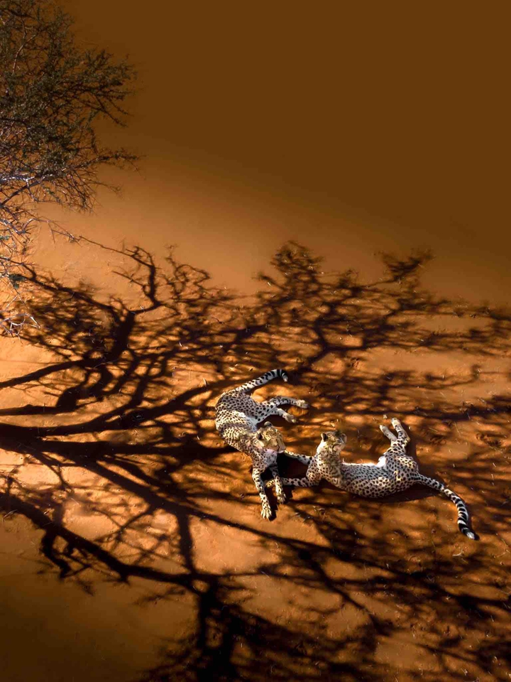 .