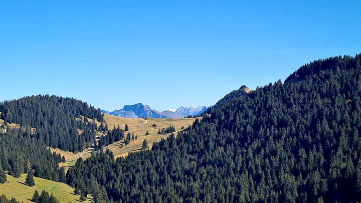 Mountains