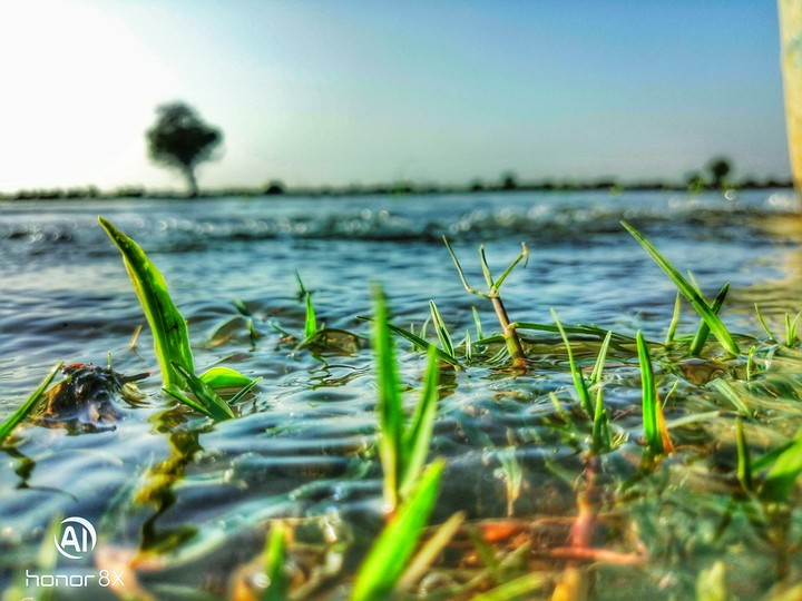 nature Photography