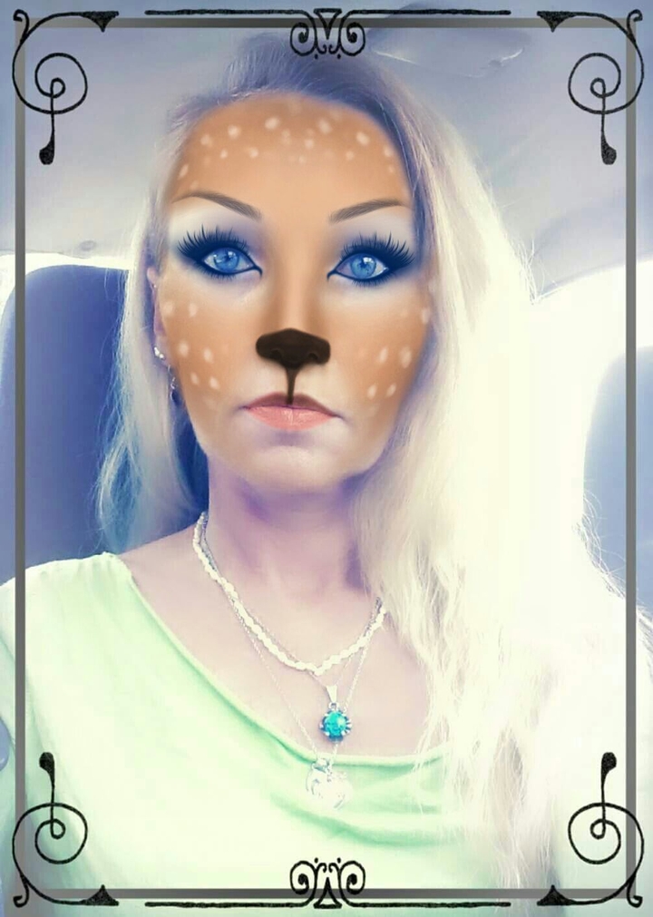 Deer face