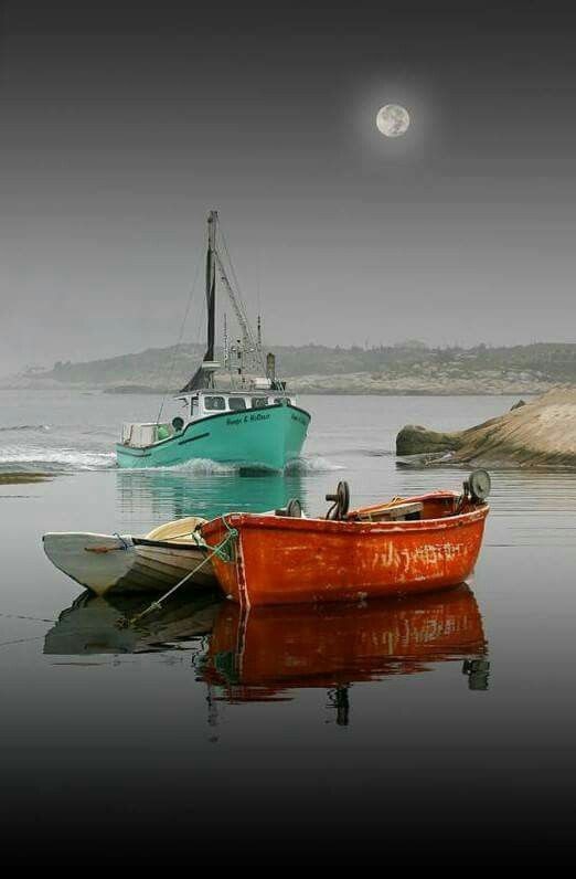 botes