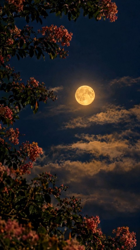 Moon, Branch, Astronomical_object
