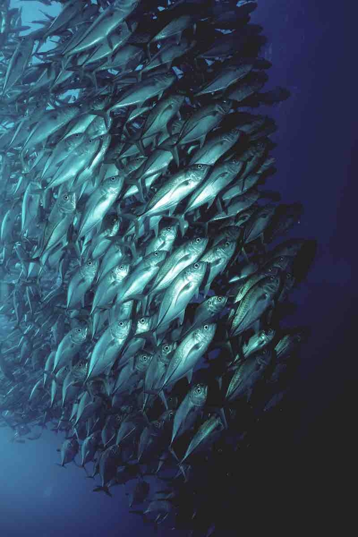 underwater