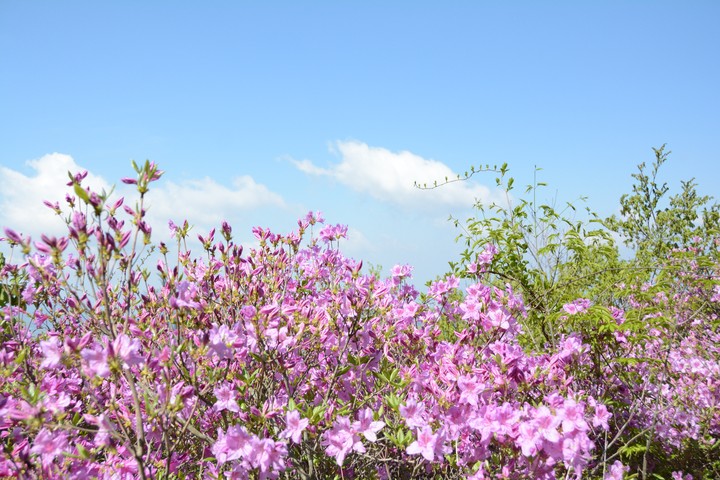 지리산이미지