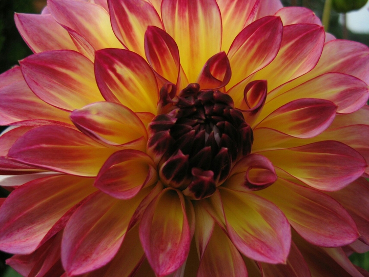 colours of nature