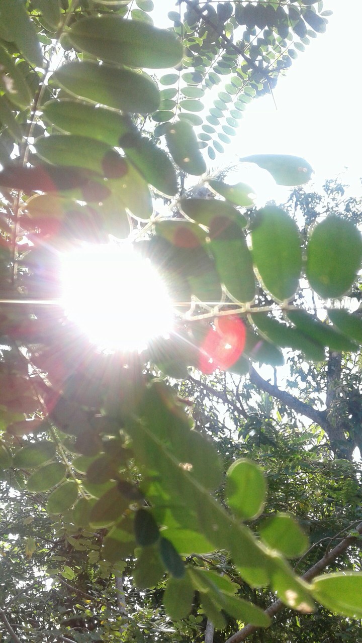 sunrise