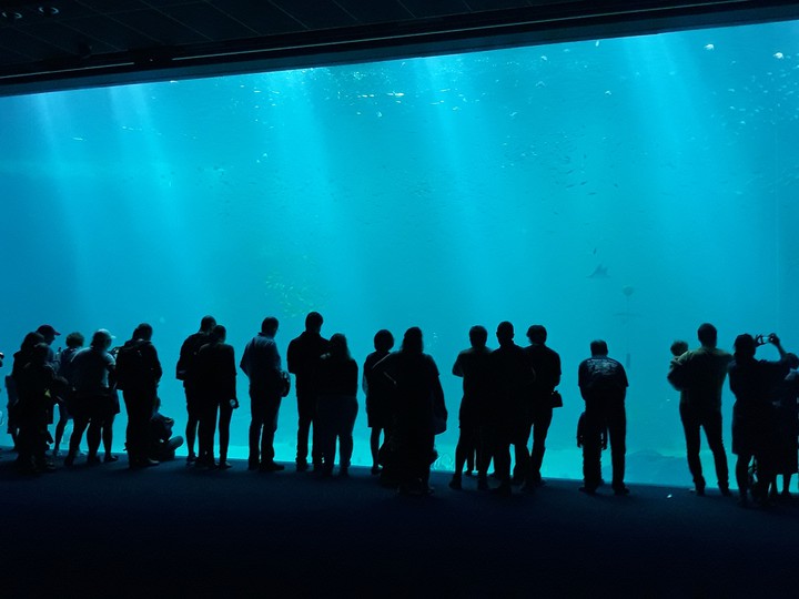 aquarium France