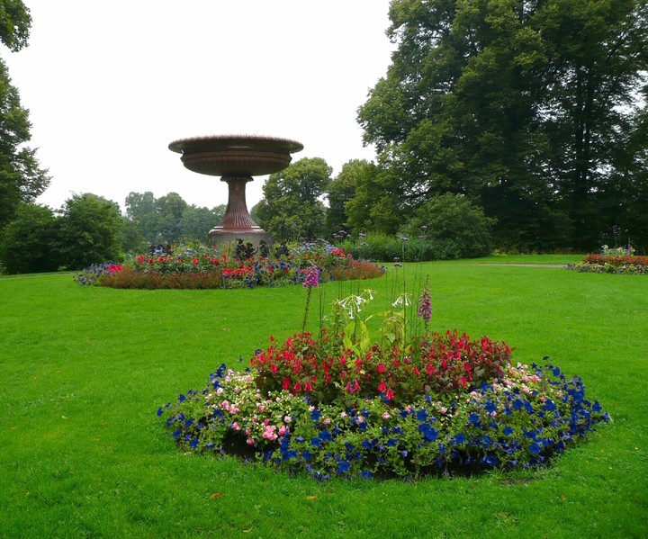 Lovely garden