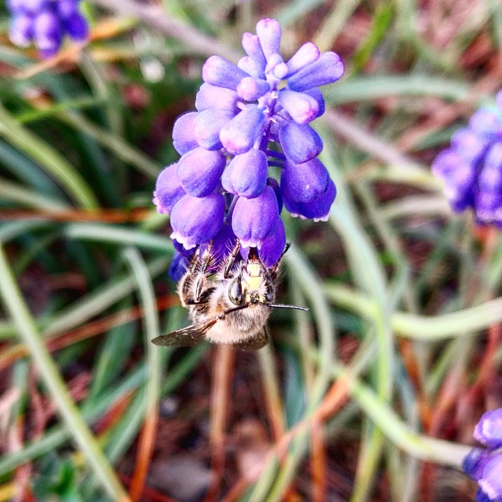 Frühling