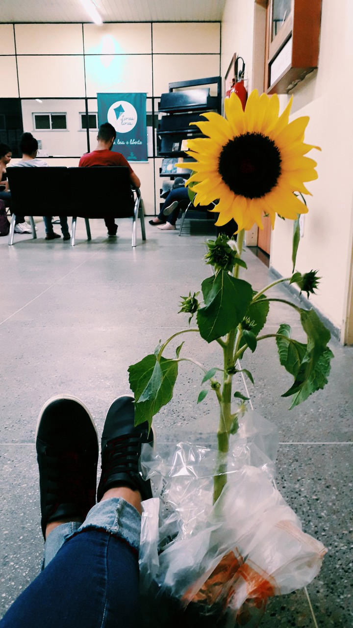 Me and my sunflower in the library