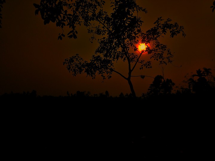 sun