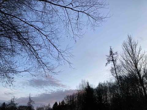 sfondi wood, new