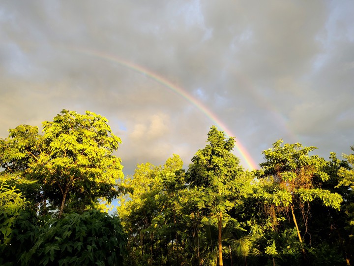 rainbow