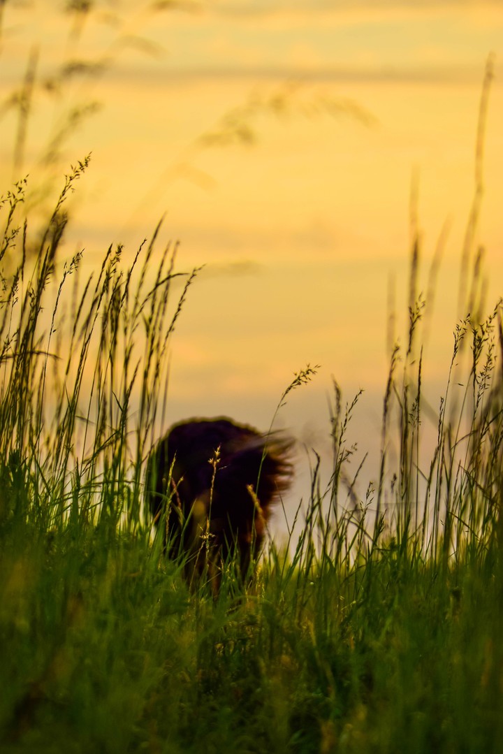 walking into the sunrise