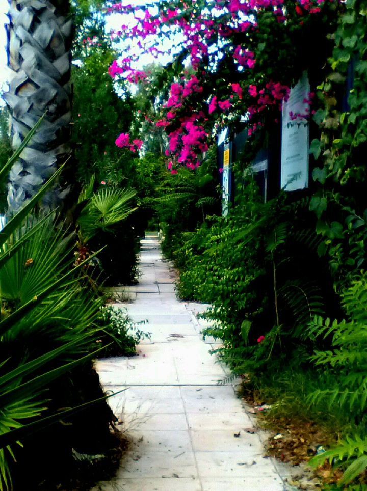 little path Glyfada Athens