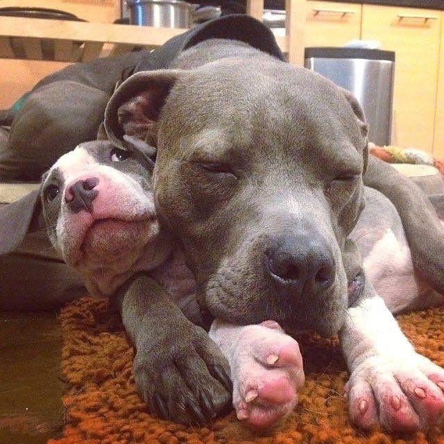 ♥️♥️♥️