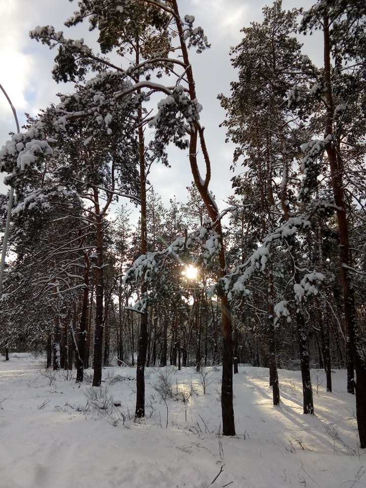 Winters morning