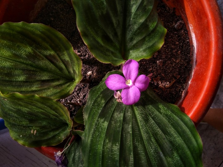 it small but beautiful!