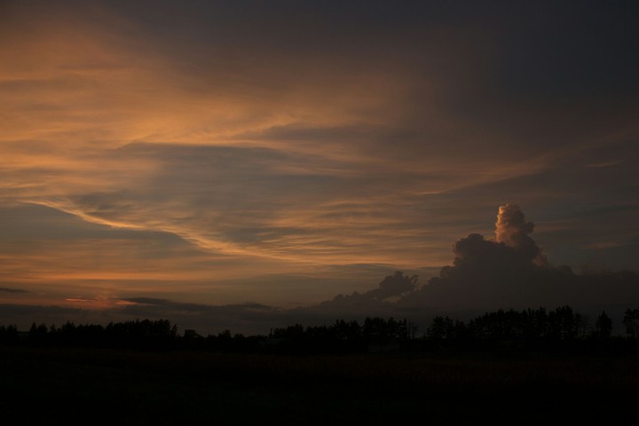 Sunset in the field