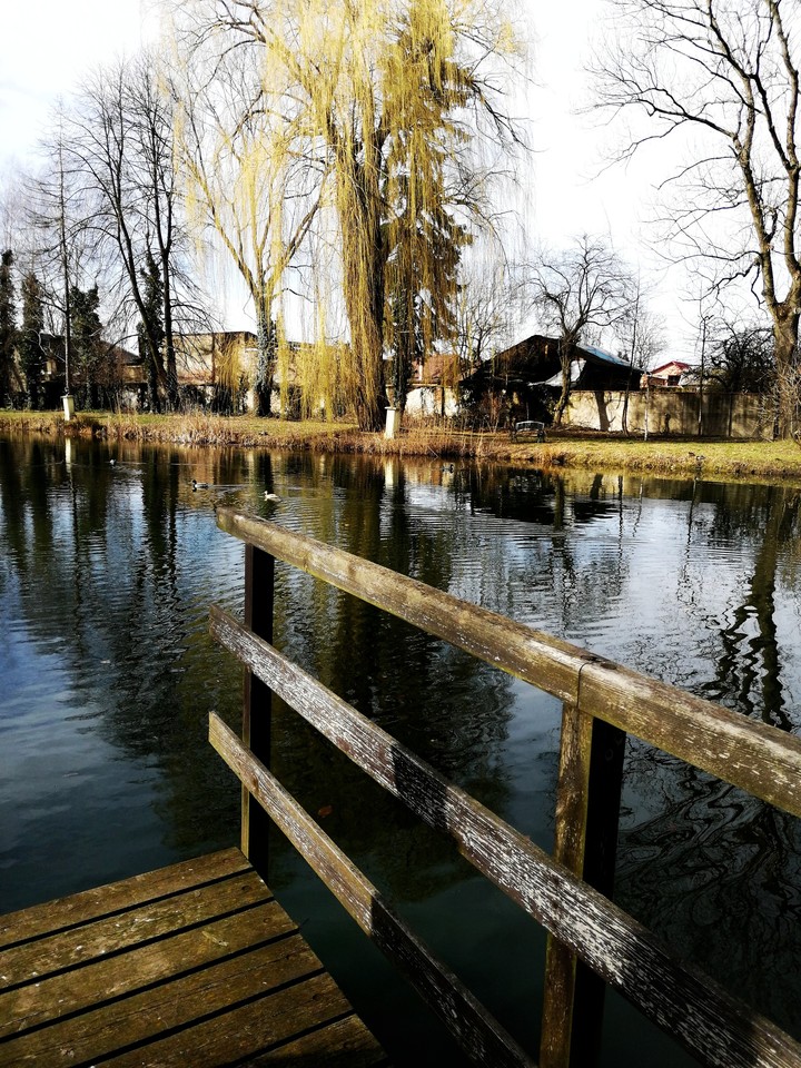 spring