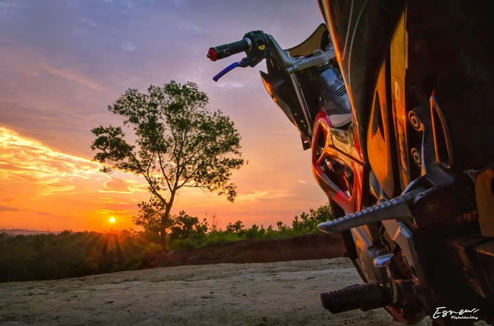 sunset with fu