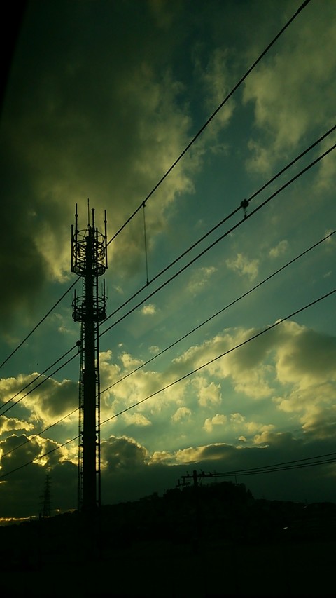 緑の空
