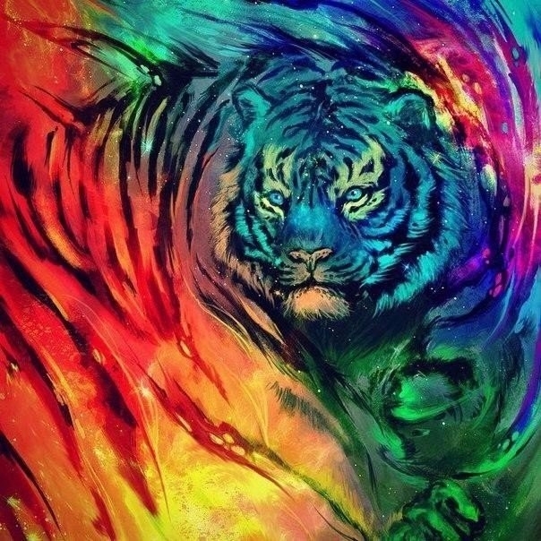 tiger