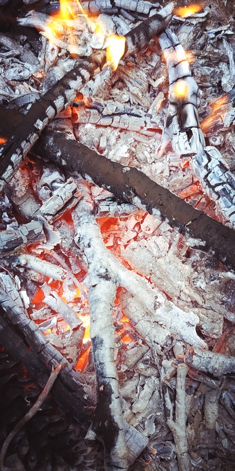 Coal - Charbon